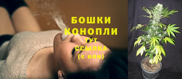 прущие грибы Балахна