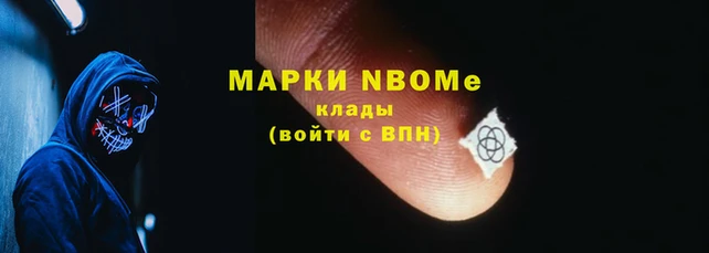 прущие грибы Балахна