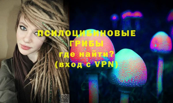прущие грибы Балахна