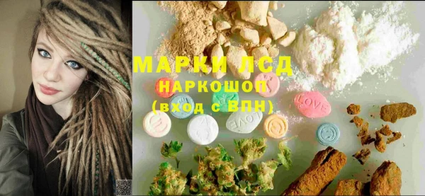 индика Баксан