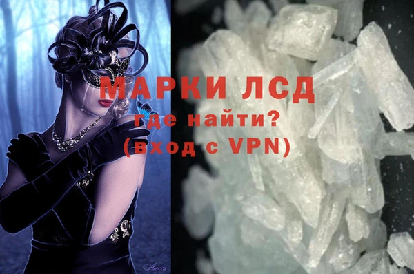 прущие грибы Балахна