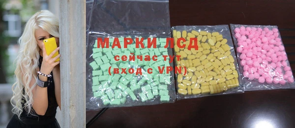 индика Баксан